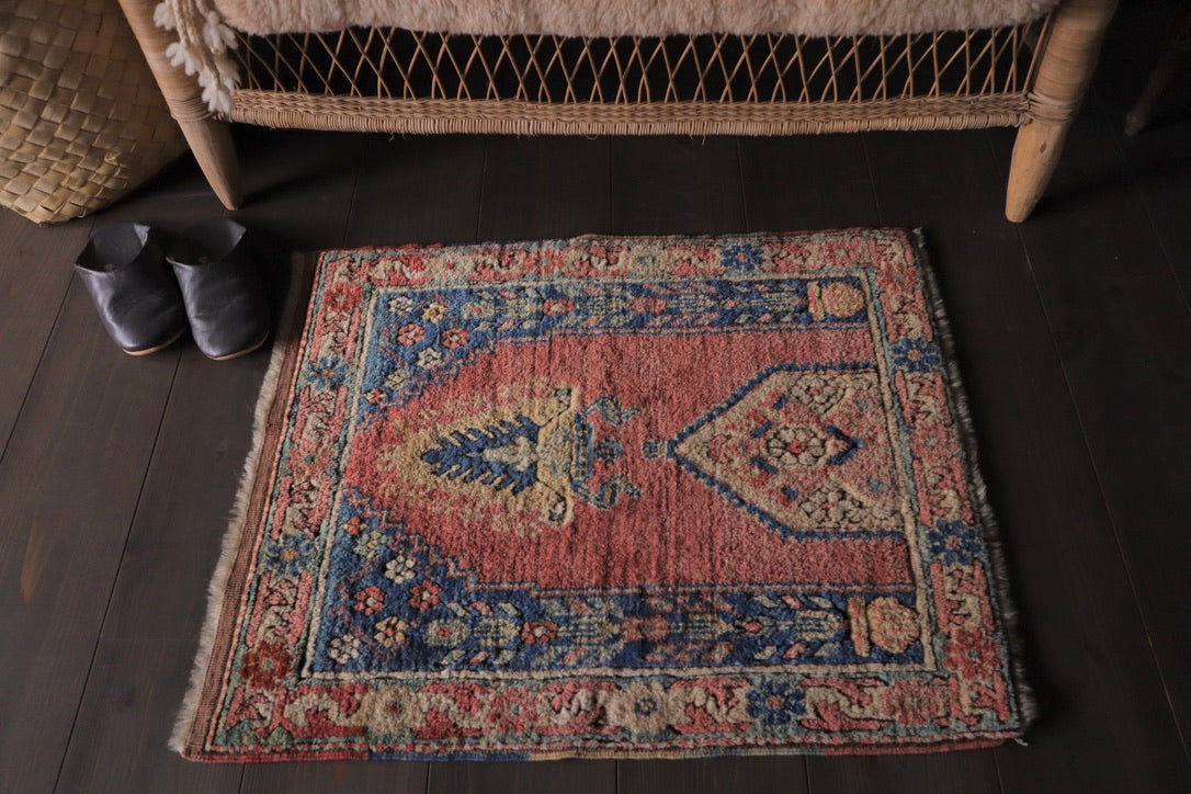 A-1713 anatoria rug