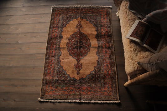 A-1861 iran rug