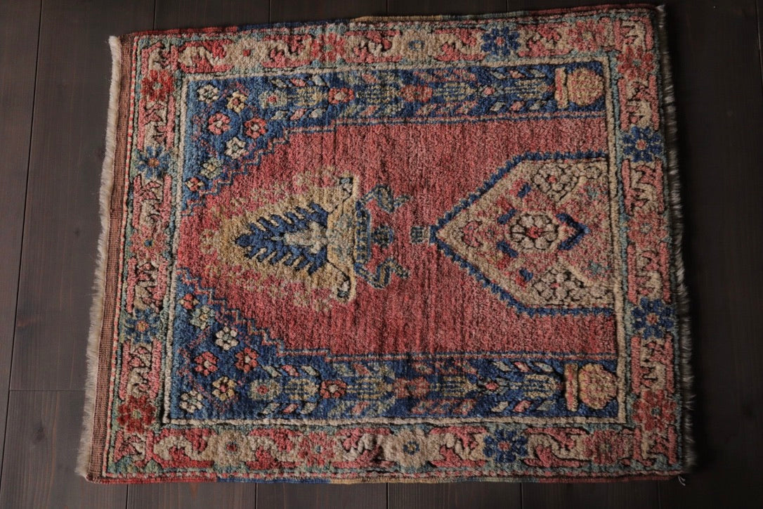 A-1713  anatoria rug
