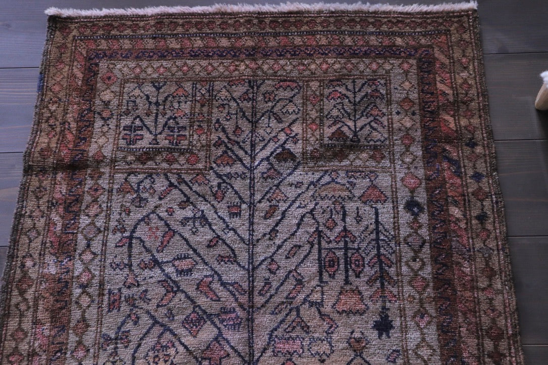 A-1907   taimani rug