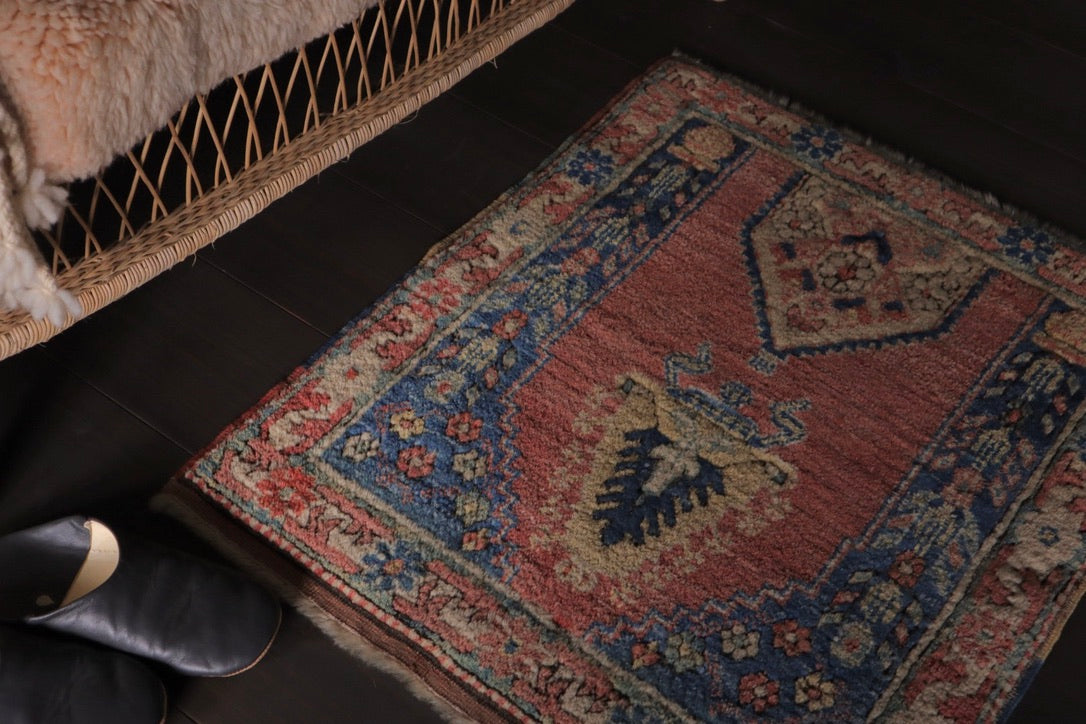 A-1713  anatoria rug
