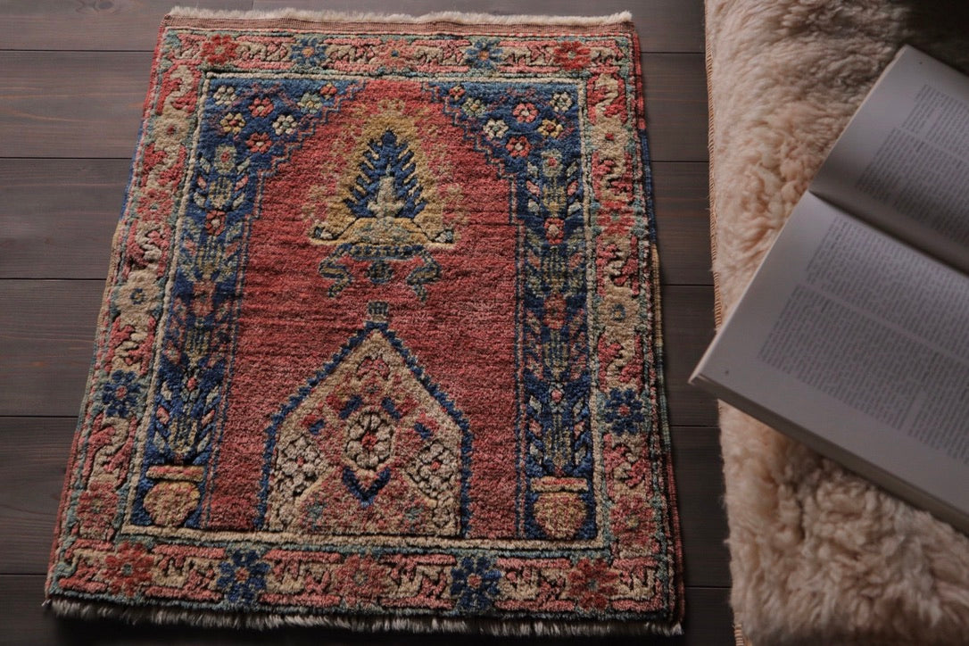 A-1713  anatoria rug