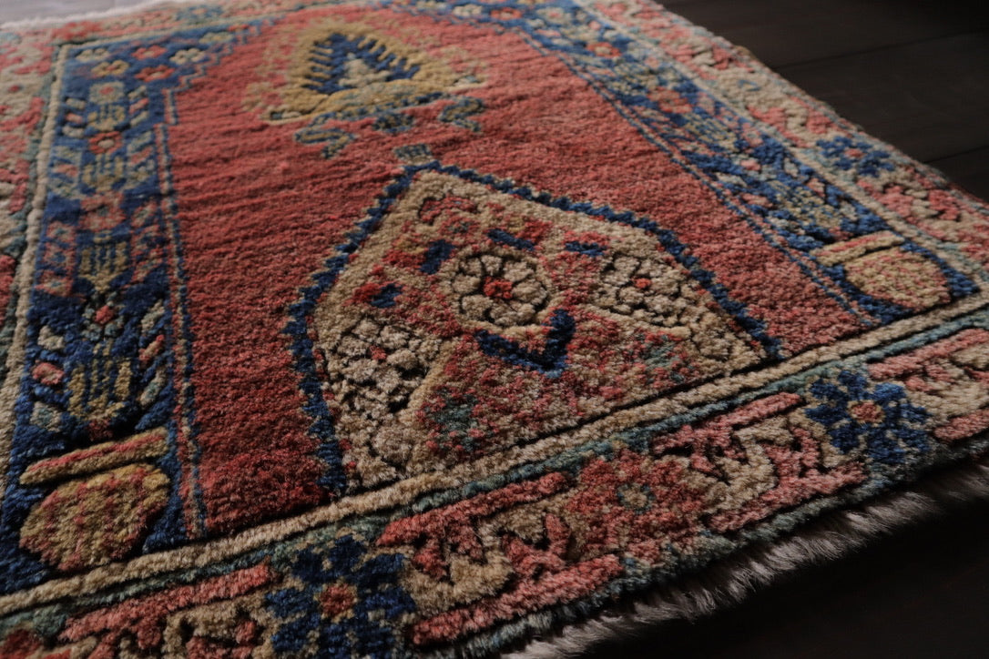 A-1713  anatoria rug